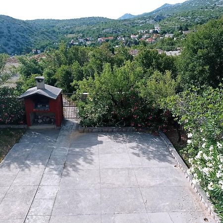 Villa Alexa Cesarica Dış mekan fotoğraf