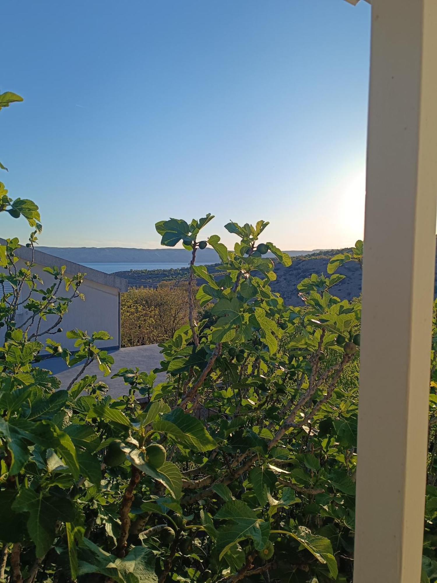 Villa Alexa Cesarica Dış mekan fotoğraf